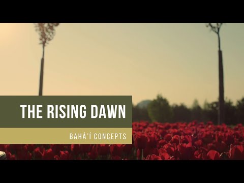 Vargha & Suno - The Rising Dawn