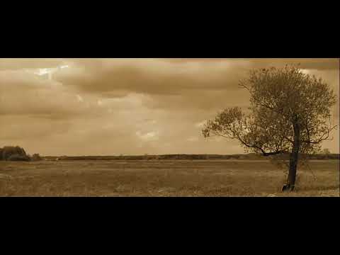 Michu MCH -  ,, PRZEMYŚLENIA WARTE " ( PROD. WolnoSkładnia { WS } ) 2014 .