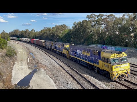 Pacific National NR82, NR11 & NR59 with 3MB4 at East Maitland - 30/8/23