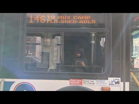 Bus Tracker 146