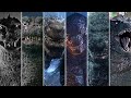 Evolution Of GODZILLA 1954 2024