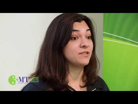 2017 3MT Finals - Maria Nayfa