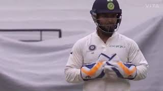 Rishabh Pant Calls Tim Paine A Temporary Captain || Pant's fun on stump mic ||