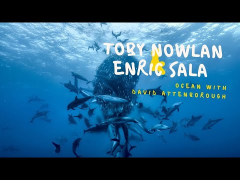 Ocean with David Attenborough: We Speak to Toby Nowlan and Enric Sala