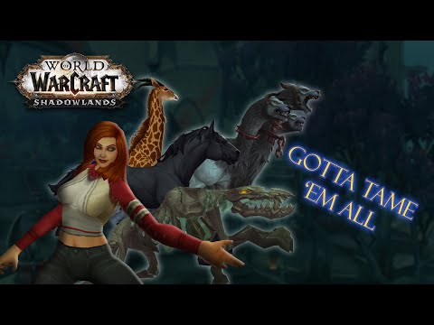 A List of Shadowlands Hunter Pet Looks