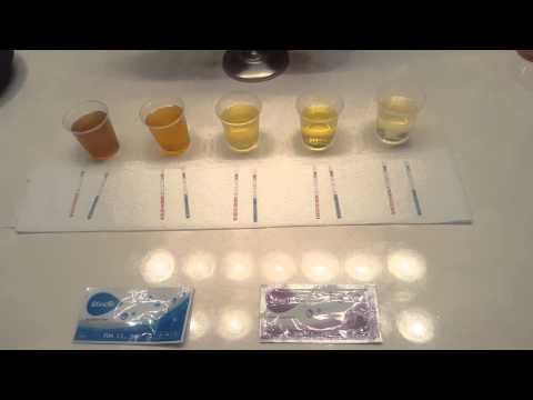 download lagu mp3 mp4 Wondfo Strips, download lagu Wondfo Strips gratis, unduh video klip Wondfo Strips