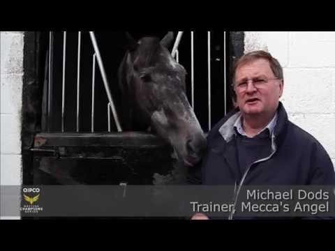 BCS TV | Michael Dods updates on Mecca's Angel
