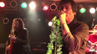 JIMI JAMISON HYBRID ICE I Can't Hold Back cam'd by RANDY GILL 3/17/2012 Danville Elks