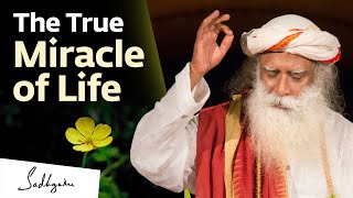 The True Miracle of Life