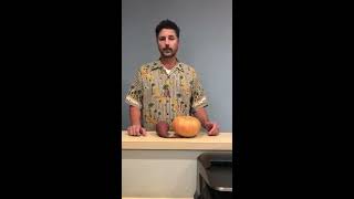 FYIFriday: Happy Fall, Pumpkins, and why orange veggies.