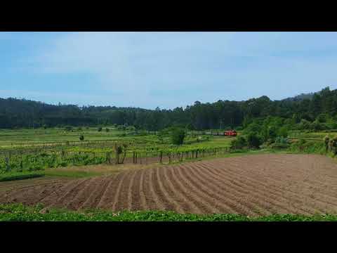 Comboio Internacional n.º 48821 - Carapeços