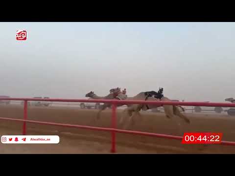   ش 2 (شاهين) لـ حمد سالم علي الدرعي 2:7:39 , شارة الصندوق 2026/06/20 فطامين الرقيعات    