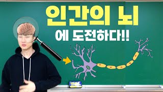 [딥러닝] 2-1강. AI의 핵심! 인공 신경망 (ANN: Artificial Neural Network)
