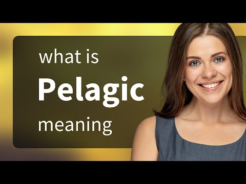 Pelagic &mdash; what is PELAGIC definition