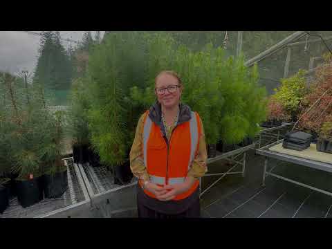 Meet Rebecca McDougal - Senior Scientist & Team Lead, Pathogen Ecology & Control