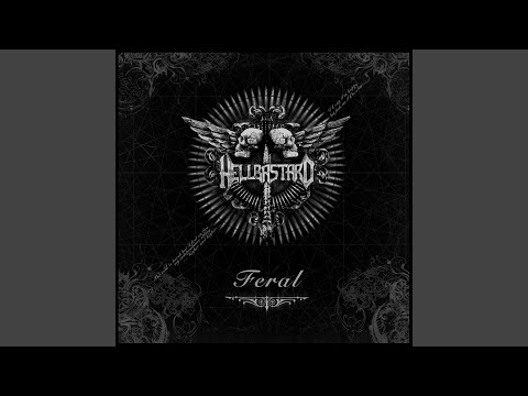 Engineering Human Consciousness II