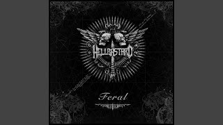 Engineering Human Consciousness II