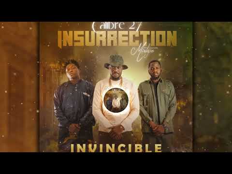 9. Calibre 27 - Invincible (Officiel 2022)
