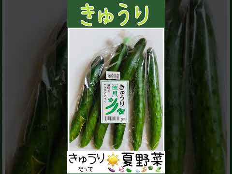 薬学科 促成栽培
