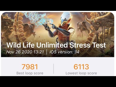 iPhone 11 Pro 3DMark Wild Life Unlimited Stress Test v1.0.220