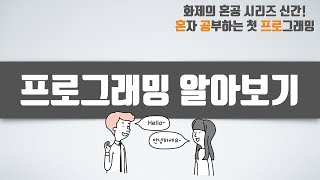 프로그래밍 알아보기 - 혼자 공부하는 첫 프로그래밍, 첫 코딩 with 파이썬 01-1강 프로그래밍 알아보기