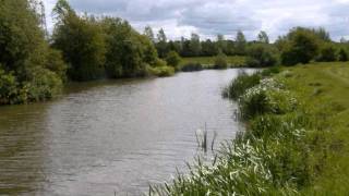 JAMES DEAN BRADFIELD    EMIGRE