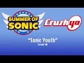 CRUSH 40 LIVE SONIC YOUTH SUMMER OF SONIC