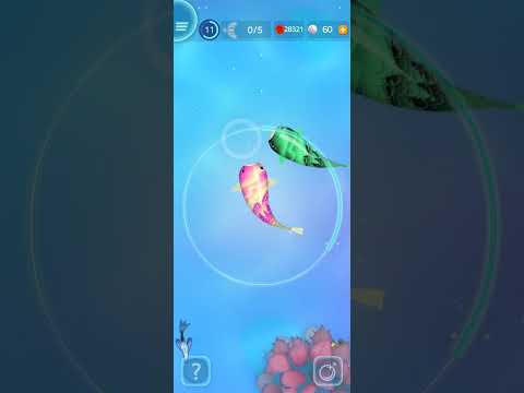 Let's Play: Zen Koi 2. Breeding Guide. - YouTube