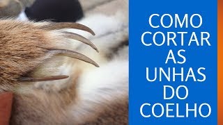 Vídeo de Cortador de Unhas P