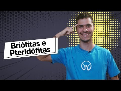 Bryophytes and Pteridophytes | Introduction to Botany - Brasil Escola