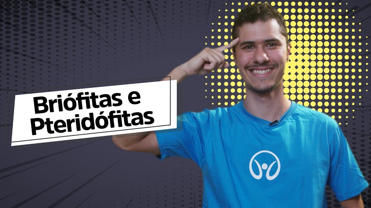 Briófitas e Pteridófitas | Introdução à Botânica - Brasil Escola