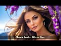 Chuck Loeb  - Silver Star -