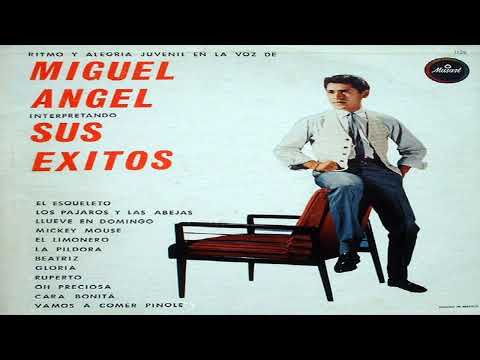 🎶UN BUEN DÍA(One fine day) - MIGUEL ANGEL (1963-64)