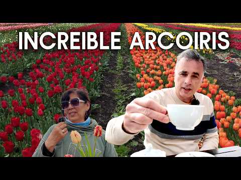 Esto solo pasa una vez al año en Trevelin 🌷🔥