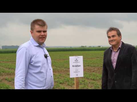 Feldtag Bad Wimsbach 2020 - SOJA Sorten und Impfversuch