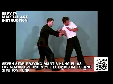 SEVEN STAR PRAYING MANTIS KUNG FU 03 - FAY NGAAN DZERNG & YEE LOI MUI FAA TSERNG