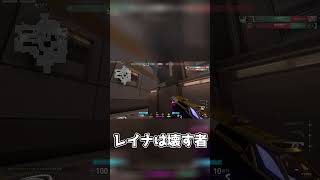 【valorant】レイナで壊せ #shorts