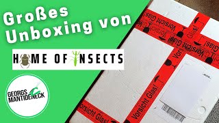 Großes Unboxing von Home of Insects - Mantis Starter-Set