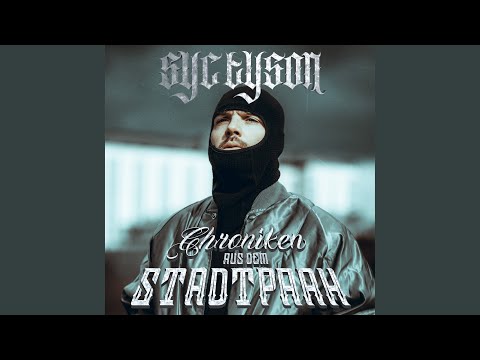 Chroniken aus dem Stadtpark