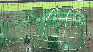 中田選手、大田選手バッティング練習