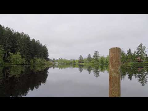 Camahan Park 45 1 21 YT1080P