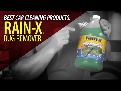 Rain-X Bug Remover | Lovebug Season