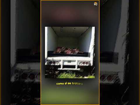 La Triste Historia De La Mujer Que Vio Un Camión Llenos De N1ÑOS mu3rt*os y Después la AS3S1N4R*ON