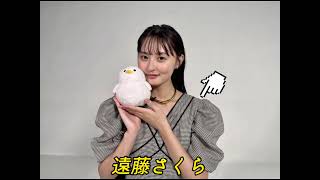 乃木坂46 メンバーの衣装紹介　#乃木坂46 #与田祐希 #shorts