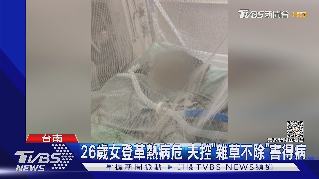 26歲妻登革熱重症病危 夫控「雜草不除」孳生病媒蚊