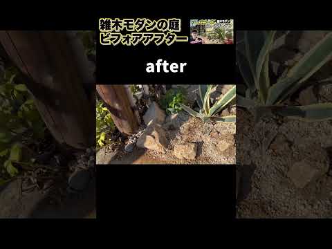 革新的な庭: スペースを刷新するためのトップアイデア  庭園