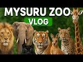 A Day At Mysore Zoo Family Vlog Wildlife Adventure In India