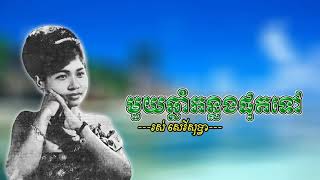 មួយឆ្នាំកន្លងផុតទៅ - រស់ សេរីសុទ្ធា | One year ago - Ros Serysothea @listenagain-8440