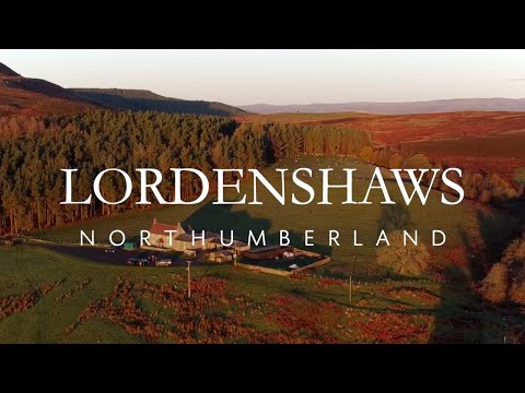 Lordenshaws Estate - Driven Pheasant & Partridge Shooting