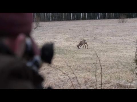 Vårbocksjakten med Elias Alm